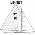 NY30 #10 LINNET