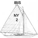 NY30 #2 IBIS