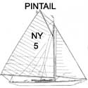 NY30 #5 PINTAIL